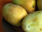 mangue - la reunion mangue - reunion