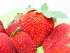 Fraises - la reunion Fraises - reunion