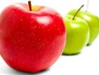La pomme : à croquer sans modération ! - la reunion La pomme : à croquer sans modération ! - reunion