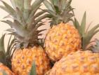 Ananas - reunion