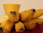 Bananes - la reunion Bananes - reunion