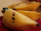 Bananes - la reunion Bananes - reunion
