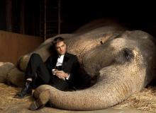 De l'eau pour les éléphants : Robert Pattinson - cinema reunion 974