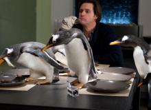 M. Popper et ses pingouins : Jim Carrey - cinema reunion 974
