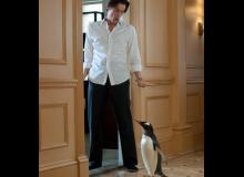 M. Popper et ses pingouins : Jim Carrey - cinema reunion 974