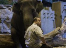 Zookeeper : Kevin James - cinema reunion 974