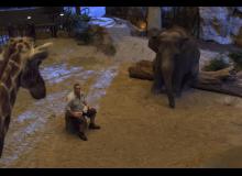 Zookeeper : Kevin James - cinema reunion 974
