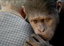 La Planète des singes : les origines - Andy Serkis - cinema reunion 974