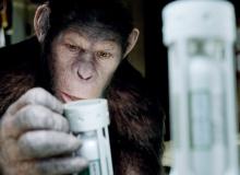 La Planète des singes : les origines - Andy Serkis - cinema reunion 974