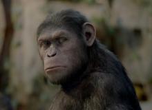 La Planète des singes : les origines - Andy Serkis - cinema reunion 974