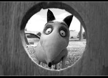 Frankenweenie - cinema reunion 974