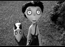 Frankenweenie - cinema reunion 974