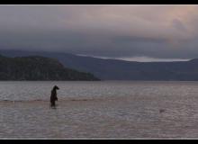 Terre des Ours - cinema reunion 974