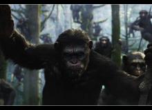 La Planète des singes : l'affrontement - cinema reunion 974