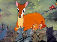 Bambi - cinema reunion 974