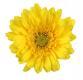 Des fleurs sur votre table de Pâques Des fleurs sur votre table de Pâques