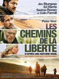 Les chemins de la liberté - cinéma réunion