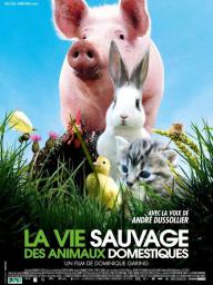 La vie sauvage des animaux domestiques - cinéma réunion