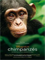 Chimpanzés - cinéma réunion