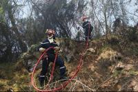 Plaine-des-Cafres : L'incendie sous contrôle le dispositif de secours maintenu Plaine-des-Cafres : L'incendie sous contrôle le dispositif de secours maintenu