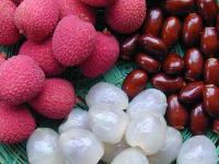 Litchi Litchi