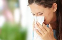 Le lait de poule contre les rhumes Le lait de poule contre les rhumes