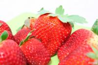La fraise aux multiples vertus La fraise aux multiples vertus