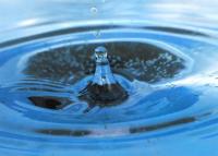 Economiser l'eau : les bons gestes
