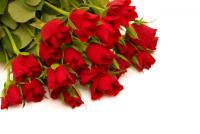 Bouquet de roses rouges pour la fête des amoureux