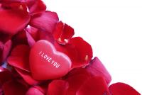 Des pétales de roses dans votre déco Des pétales de roses dans votre déco