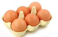 Les oeufs sous toutes ses formes Les oeufs sous toutes ses formes
