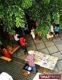 Une brocante dans le jardin Une brocante dans le jardin