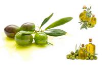 De l'huile d'olive pour des mains douces et des ongles brillants