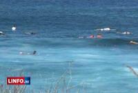 La menace requin plane sur le spot de Trois Bassins La menace requin plane sur le spot de Trois Bassins