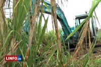 Le temps est compté pour les planteurs du Sud Le temps est compté pour les planteurs du Sud