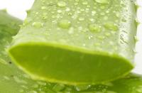 Masque facial à l'aloe vera Masque facial à l'aloe vera