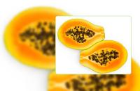 La papaye : un fruit vitaminé