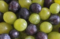 Les secrets beauté du raisin Les secrets beauté du raisin