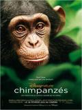Chimpanzés Chimpanzés