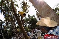 Le coco en fête Le coco en fête