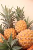 Tout sur l'ananas