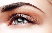Comment avoir des sourcils impeccable ? Comment avoir des sourcils impeccable ?