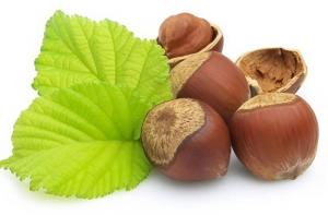 L'huile végétale de noisette : l'alliée des peaux acnéiques L'huile végétale de noisette : l'alliée des peaux acnéiques