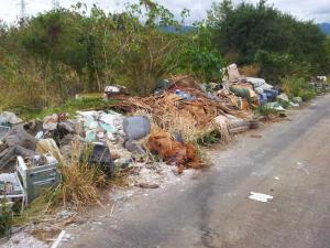 Déchets et animal mort sur voie publique Gol Saint-Louis - Tooticy.re