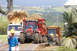 Une semaine pour faire rentrer 35 000 tonnes Une semaine pour faire rentrer 35 000 tonnes