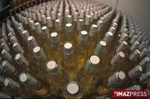 Vers un label européen pour le vin de Cilaos Vers un label européen pour le vin de Cilaos