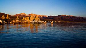 Lac Mono - La Nasa découvre une nouvelle forme de vie... sur terre Lac Mono - La Nasa découvre une nouvelle forme de vie... sur terre