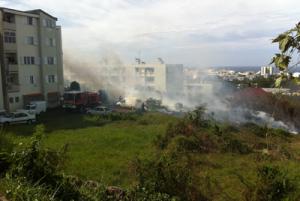 Feu aux Camélias Feu aux Camélias