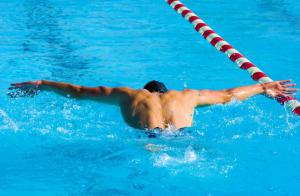 Natation : nage papillon - De la natation pour se muscler