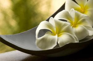 Fleur de frangipanier - Les accessoires d'une décoration ''Zen''